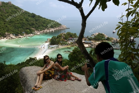Die Strand und Insellandschaft auf der Insel Koh Naang Yuan neben der Insel Ko Tao im Golf von Thailand im Suedwesten von Thailand in Suedostasien. 