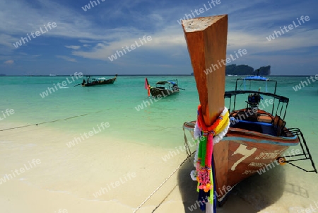 A Beach on the Island of Ko PhiPhi on Ko Phi Phi Island outside of the City of Krabi on the Andaman Sea in the south of Thailand. 