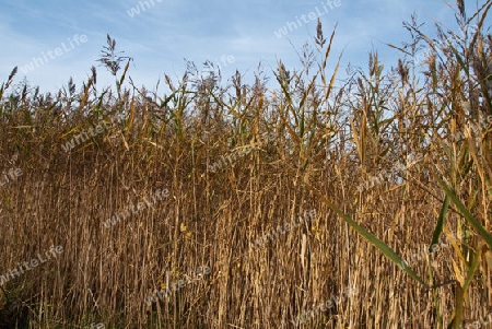 An der Ostsee Mecklenburg Vorpommern