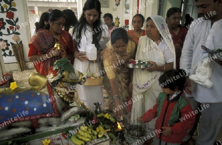 Ein Hindu Tempel bei der Hauptstadt Port Louis an der Westkueste der Insel Mauritius in Indischen Ozean vor Afrika.  