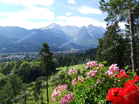 Blick zum Zugspitzmassiv