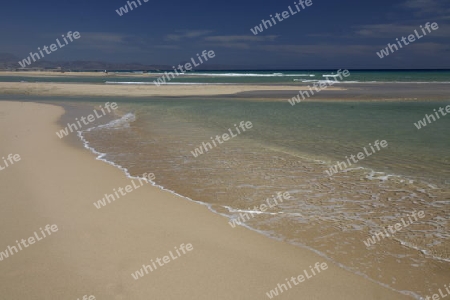 the Playa de Satovento de Jandia on the south of the Island Fuerteventura on the Canary island of Spain in the Atlantic Ocean.