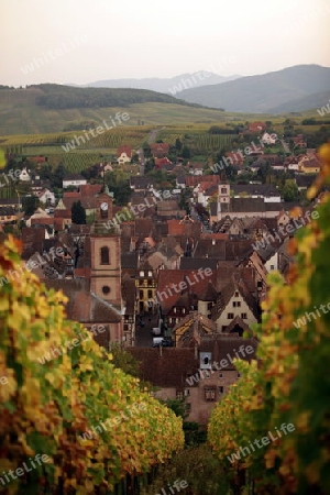 the olt town of the village of Riquewihr in the province of Alsace in France in Europe