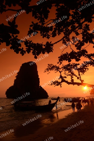 The Hat Phra Nang Beach at Railay near Ao Nang outside of the City of Krabi on the Andaman Sea in the south of Thailand. 