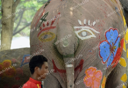 Das Songkran Fest oder Wasserfest zum Thailaendischen Neujahr ist im vollem Gange in Ayutthaya noerdlich von Bangkok in Thailand in Suedostasien.  