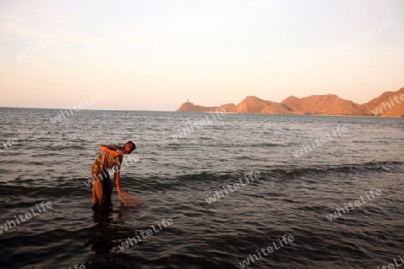 Asien, Suedostasien, Ost Timor, Timor-Leste, Timor, Dili, Alltag, Fischer, 
Ein Fischer an der Kueste in der Hauptstadt Dili in Ost Timor in Suedost Asien.       (Urs Flueeler) 