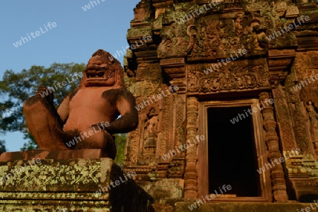 The Tempel Ruin of  Banteay Srei about 32 Km north of the Temple City of Angkor near the City of Siem Riep in the west of Cambodia.