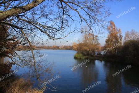 Herbst in Kassel