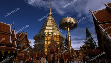 Der Chedi der Tempel Anlage des Wat Phra That Doi Suthep bei Chiang Mai in der Provinz Chiang Mai im Norden von Thailand in Suedostasien.