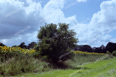 Hier ist noch echte Natur!