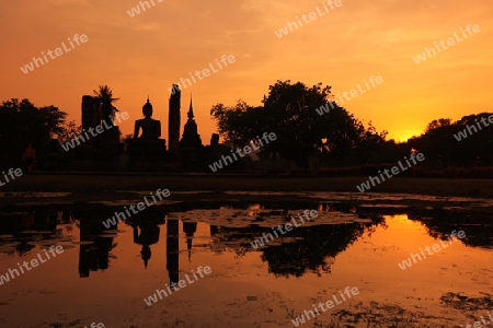 Eine Buddha Figur  im Wat Mahathat Tempel in der Tempelanlage von Alt-Sukhothai in der Provinz Sukhothai im Norden von Thailand in Suedostasien.