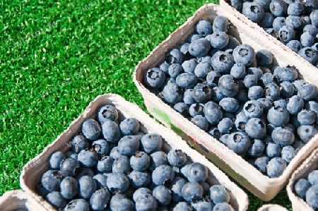 Blaubeeren auf dem Wochenmarkt