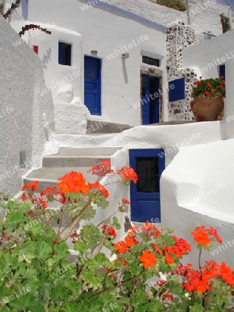 Blumen an einem Haus auf Santorin