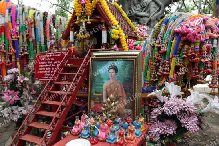 Ein Tempel in einem Park bei Phimai bei Khorat in der provinz Nakhon Ratchasima im Nordosten von Thailand im Suedwesten von Thailand in Suedostasien.   (KEYSTONE/Urs Flueeler)