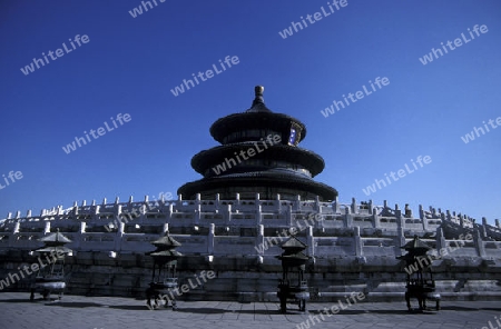 the temple of heaven in the tiantan park in the city of beijing in the east of china in east asia. 