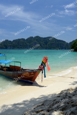 A Beach on the Island of Ko PhiPhi on Ko Phi Phi Island outside of the City of Krabi on the Andaman Sea in the south of Thailand. 