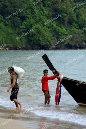 workers at the Hat Tom Sai Beach at Railay near Ao Nang outside of the City of Krabi on the Andaman Sea in the south of Thailand. 