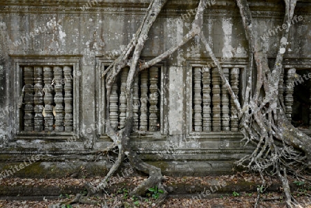 The Tempel Ruin of  Beng Mealea 32 Km north of in the Temple City of Angkor near the City of Siem Riep in the west of Cambodia.