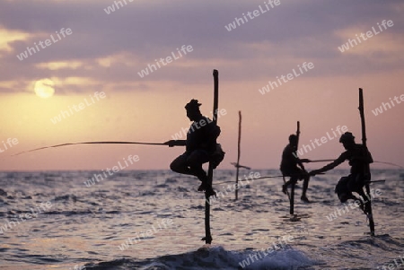 Asien, Indischer Ozean, Sri Lanka,
Traditionelle Fischer sogenannte Stelzenfischer beim Fischen in der naehe des Kuestendorf Ahangama an der Suedkueste von Sri Lanka. (URS FLUEELER)






