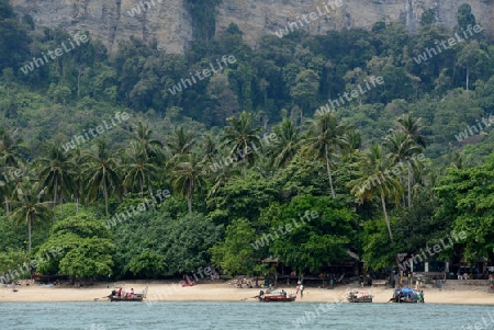 The Hat Tom Sai Beach at Railay near Ao Nang outside of the City of Krabi on the Andaman Sea in the south of Thailand. 