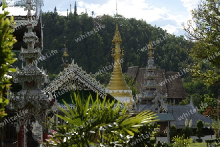 Der Tempel Wat Jong Kham und Jong Klang am See Nong Jong Kham im Dorf Mae Hong Son im norden von Thailand in Suedostasien.