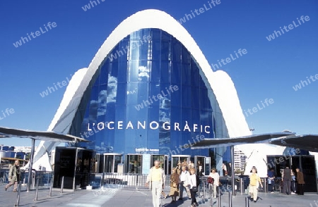 Das L Oceanografic im Modernen Stadtteil von Valenzia in Spanien in Europa.