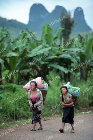 Menschen in der Landschaft in der Bergregion beim Dorf Kasi an der Nationalstrasse 13 zwischen Vang Vieng und Luang Prabang in Zentrallaos von Laos in Suedostasien.  