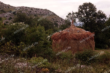 Europa, Osteuropa, Balkan. Montenegro, Skadar, See, Landschaft, Murici, Landwirtschaft,