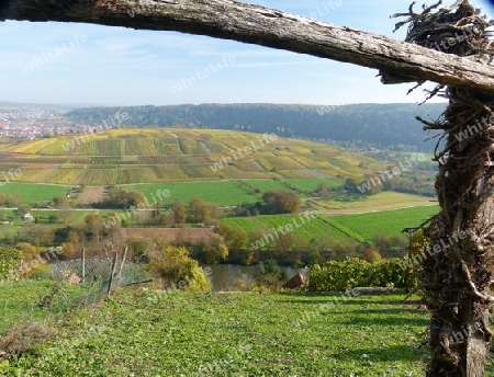 Weinberge in W?rttemberg im Herbst 1