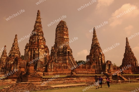 Der Wat Chai Wattanaram Tempel in der Tempelstadt Ayutthaya noerdlich von Bangkok in Thailand.