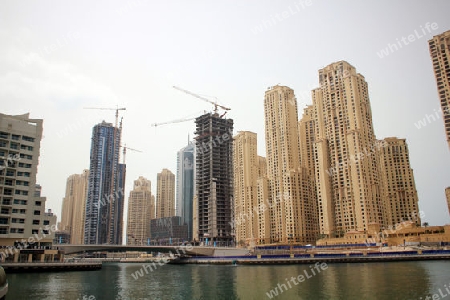 Dubai Marina 