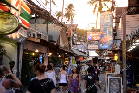 a smal road in the Town of Ko PhiPhi on Ko Phi Phi Island outside of  the City of Krabi on the Andaman Sea in the south of Thailand. 