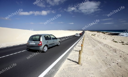 the Sanddunes of Corralejo in the north of the Island Fuerteventura on the Canary island of Spain in the Atlantic Ocean.