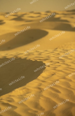 Die Sahara Wueste bei Douz im zentralen sueden in Tunesien in Nordafrika.