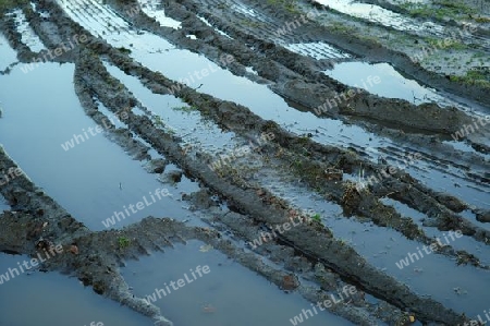 Muddy wheel tracks