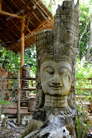 Wood carvin in Forest Hotel in the Town of Ko PhiPhi on Ko Phi Phi Island outside of  the City of Krabi on the Andaman Sea in the south of Thailand. 