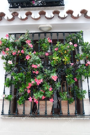 Hausfenster in Andalusien