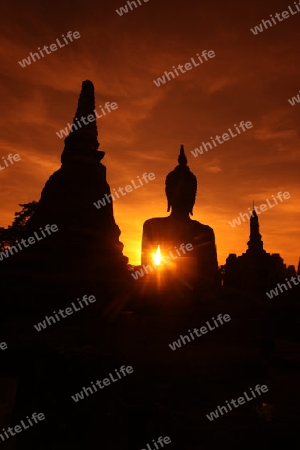 Eine Buddha Figur  im Wat Mahathat Tempel in der Tempelanlage von Alt-Sukhothai in der Provinz Sukhothai im Norden von Thailand in Suedostasien.