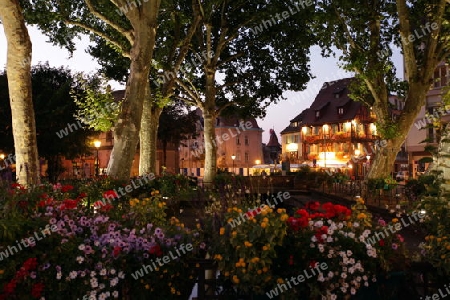 the Market Hall in the old city of Colmar in  the province of Alsace in France in Europe