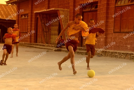 Young Monks Play Soccer in a Pagoda in the town of Nyaungshwe at the Inle Lake in the Shan State in the east of Myanmar in Southeastasia.