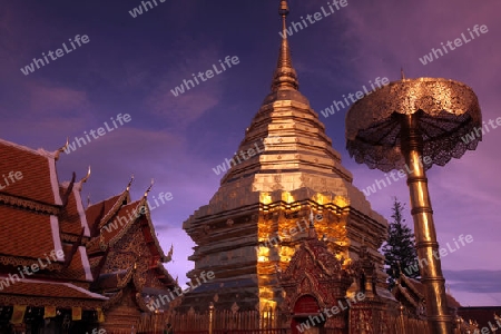 Der Chedi der Tempel Anlage des Wat Phra That Doi Suthep bei Chiang Mai in der Provinz Chiang Mai im Norden von Thailand in Suedostasien.