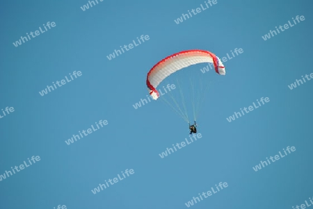 Paragleiter beim Landeanflug