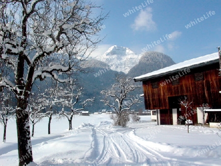 winter landschaft