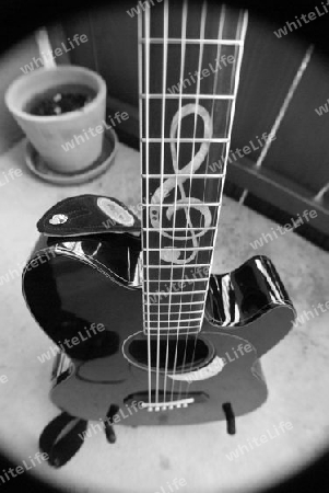 Guitar Fish Eye