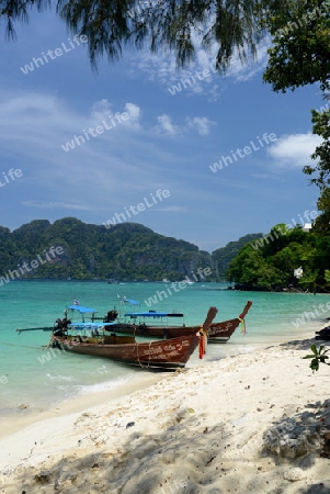 A Beach on the Island of Ko PhiPhi on Ko Phi Phi Island outside of the City of Krabi on the Andaman Sea in the south of Thailand. 