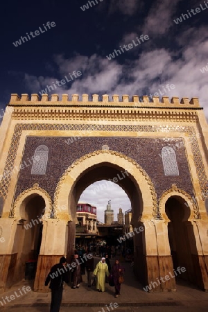 The blue Gate at the Bab Bou Jeloud in the old City in the historical Town of Fes in Morocco in north Africa.