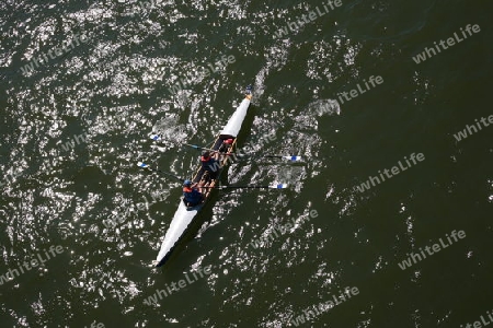 K?ln, Ruderboot auf dem Rhein