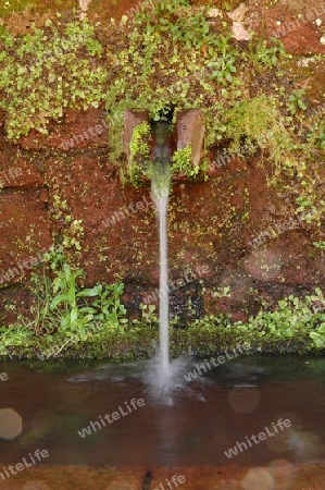 Brunnen am Forsthaus Rabacal auf Madeira