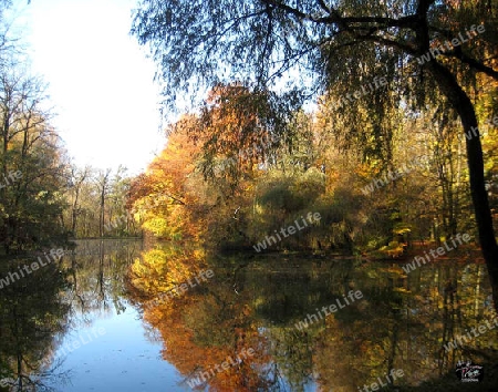  in Englischer Garten M?nchen