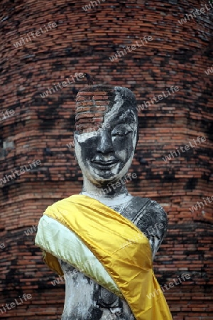 Eine Buddha Figur in einem Tempel in der Tempelstadt Ayutthaya noerdlich von Bangkok in Thailand